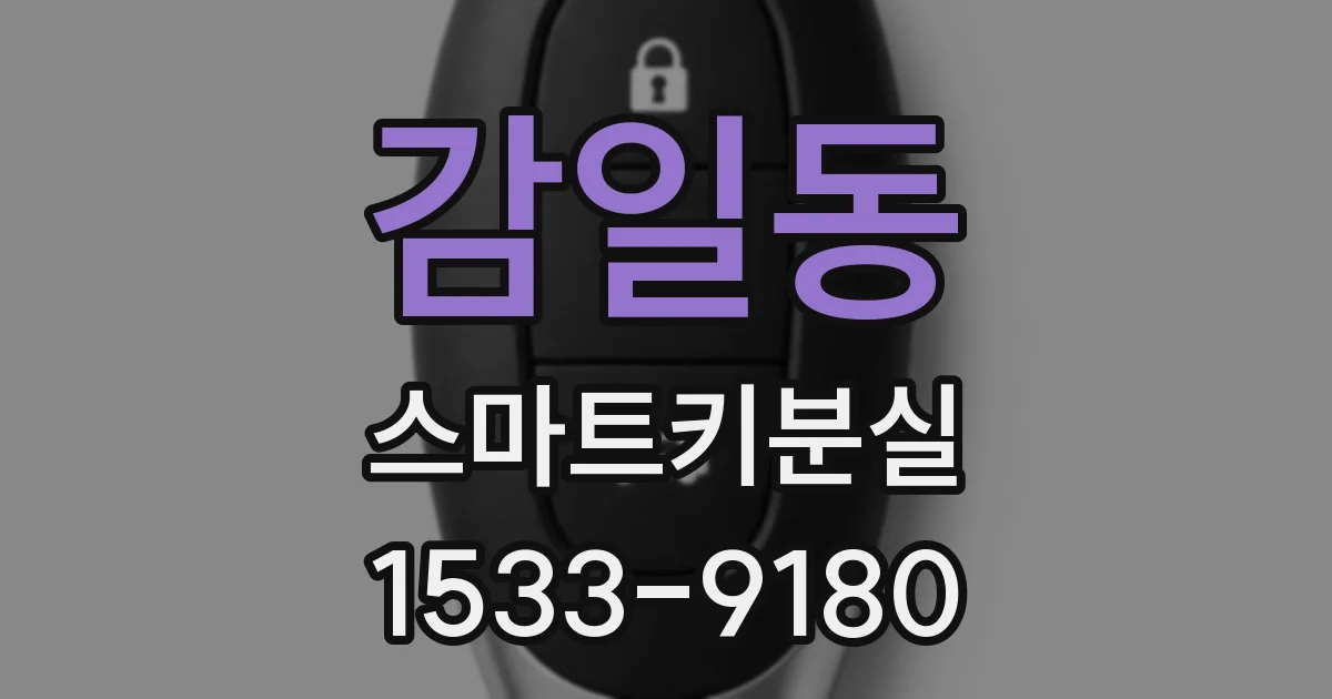 감일동 스마트키분실