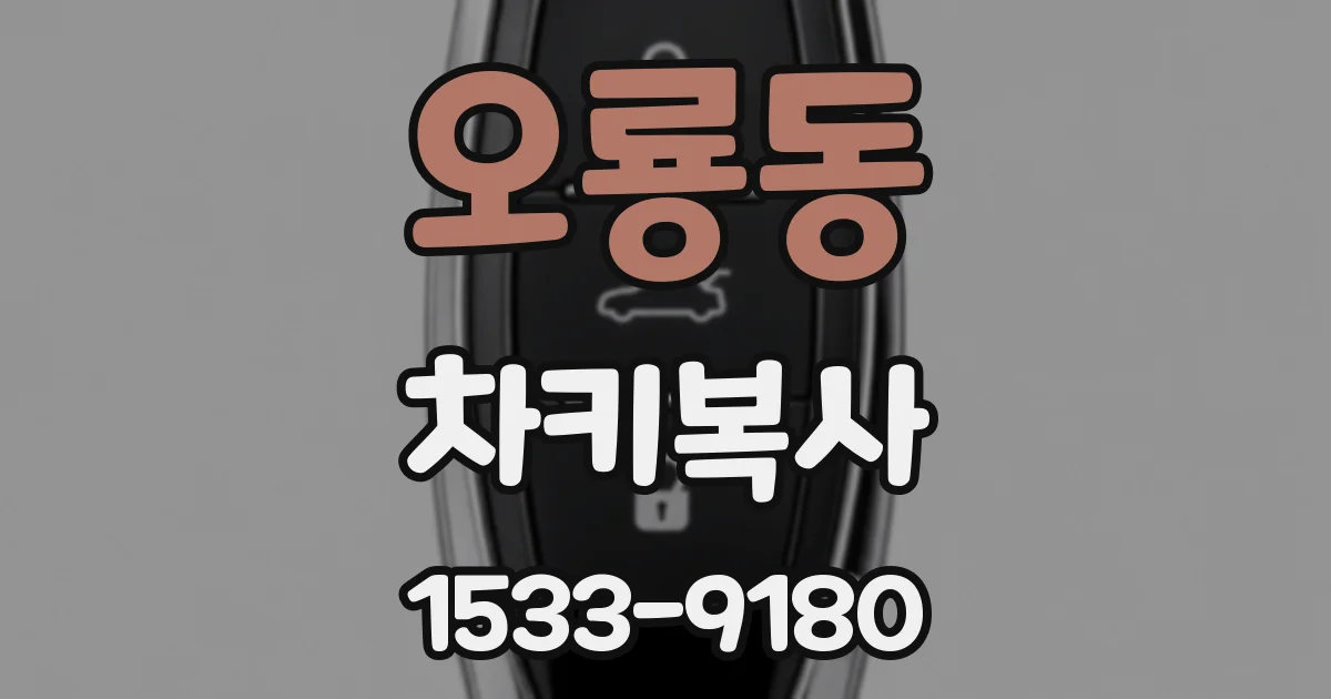 오룡동 차키복사