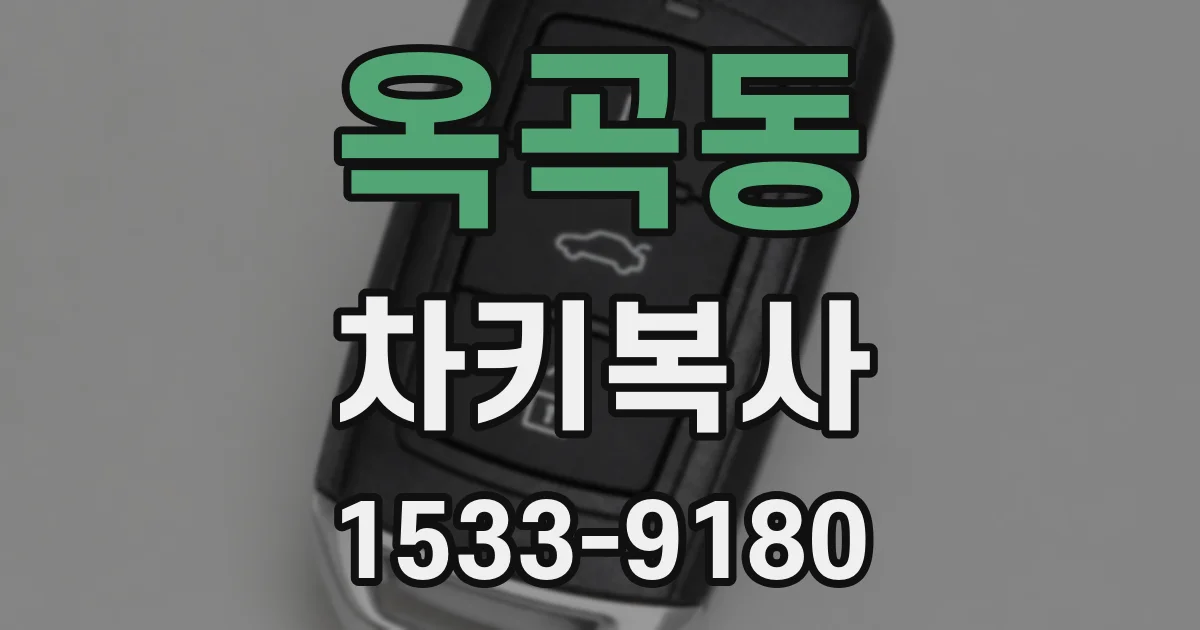 옥곡동 차키복사