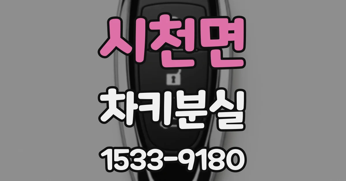 시천면 차키분실