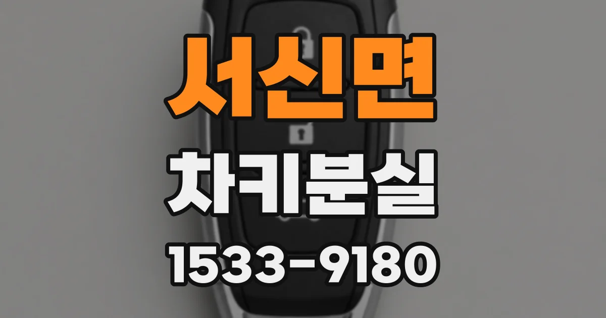 서신면 차키분실
