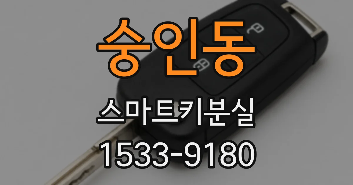 숭인동 스마트키분실