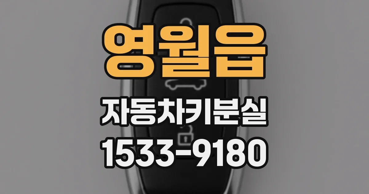 영월읍 자동차키분실