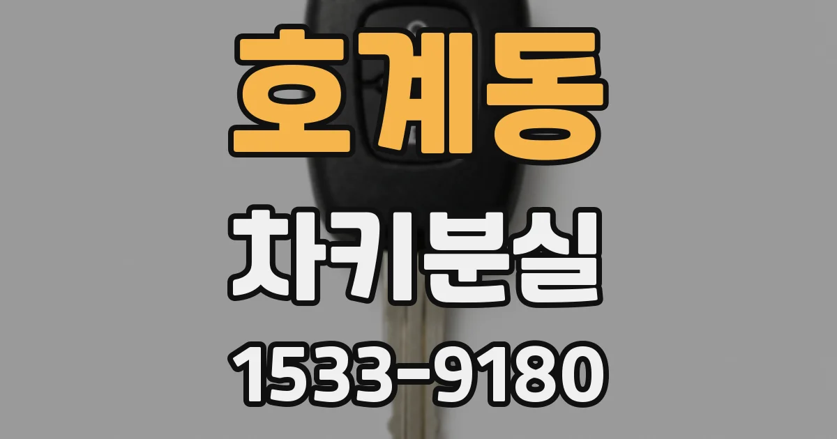 호계동 차키분실