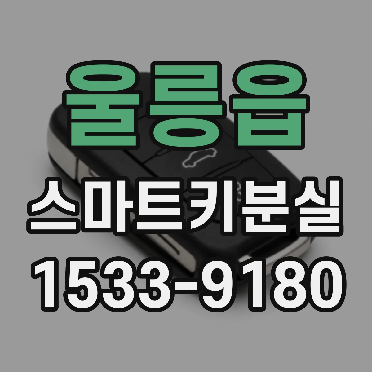 울릉읍 스마트키분실