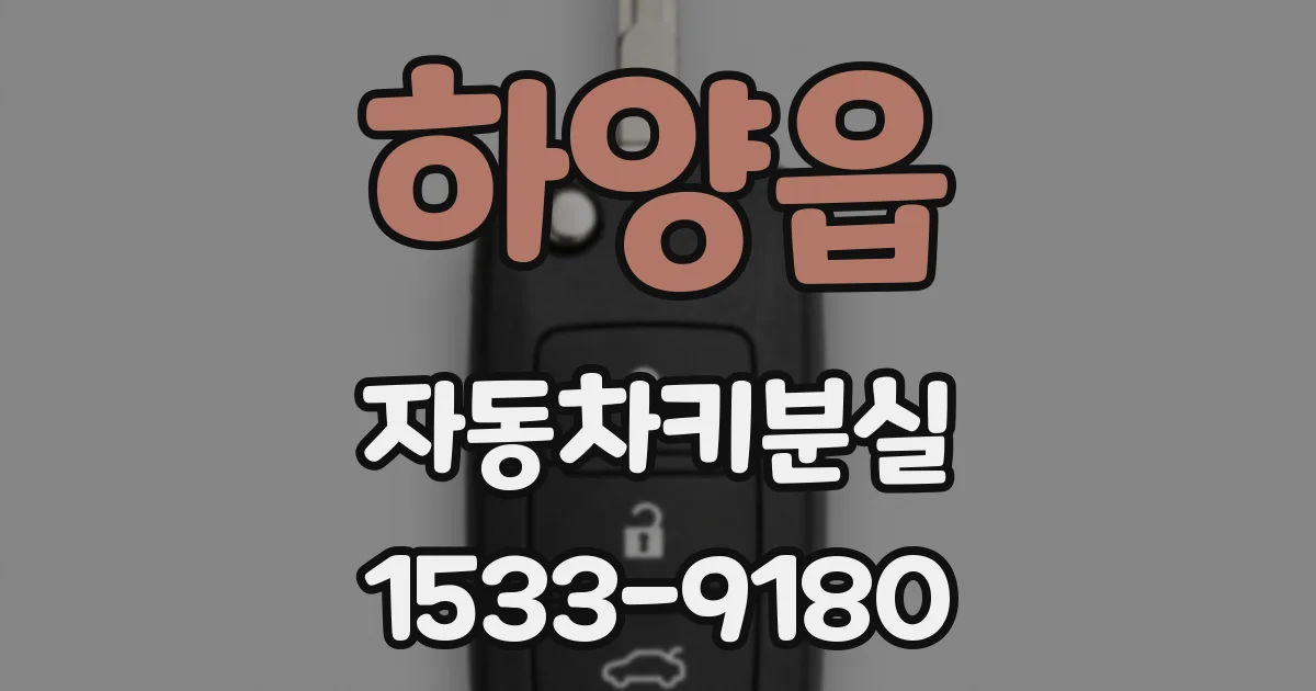 하양읍 자동차키분실
