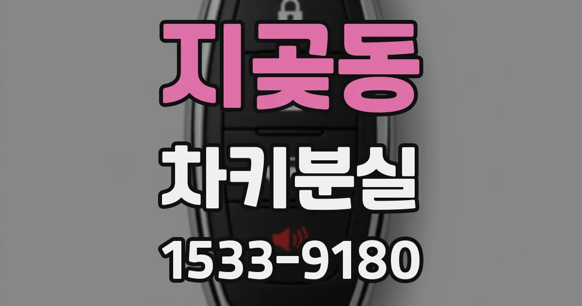 지곶동 차키분실