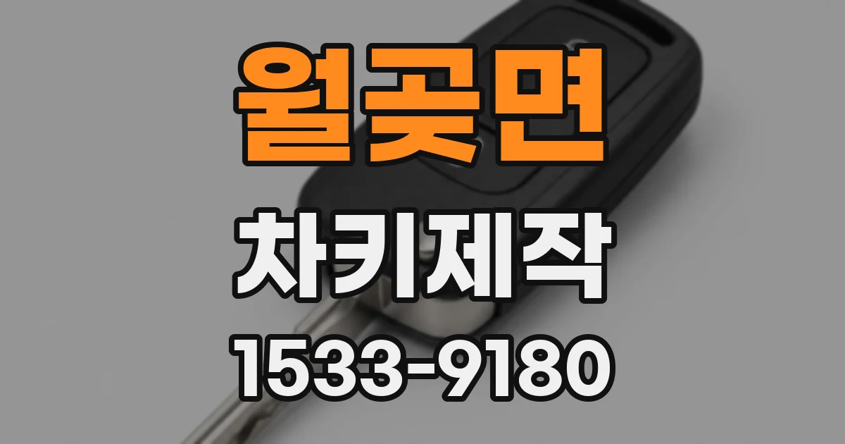 월곶면 차키제작