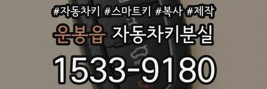 운봉읍 자동차키분실