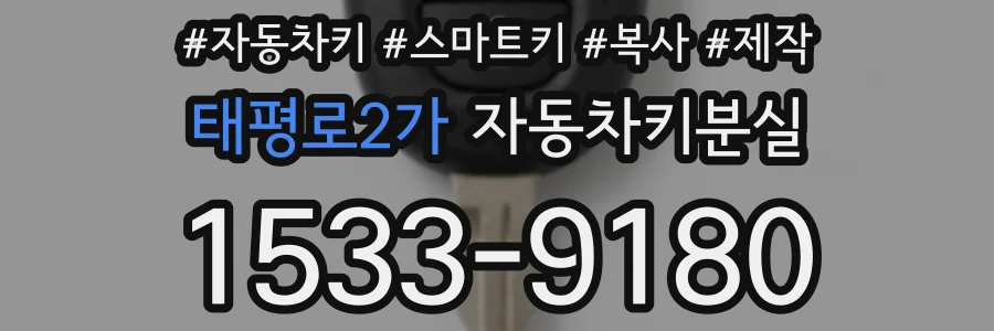 태평로2가 자동차키분실