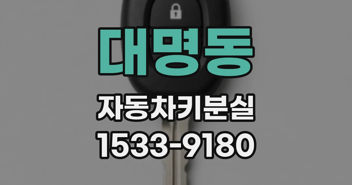 대명동 자동차키분실