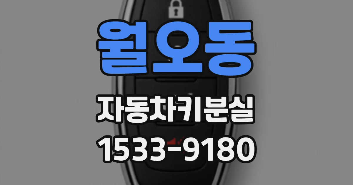 월오동 자동차키분실