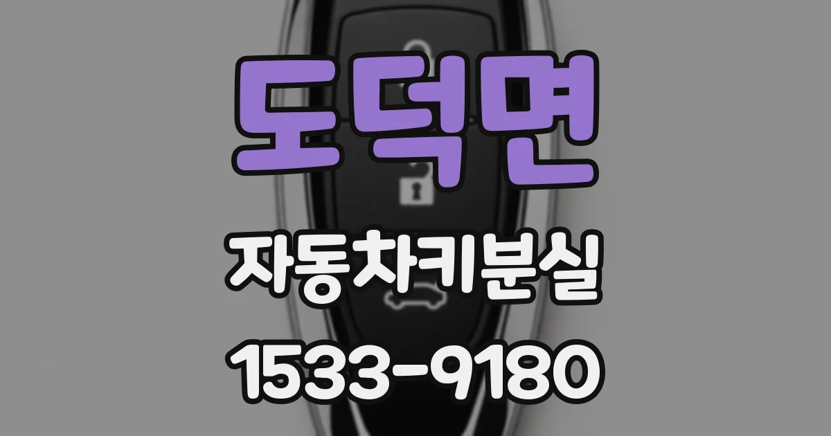 도덕면 자동차키분실