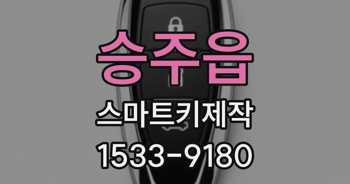 승주읍 스마트키제작