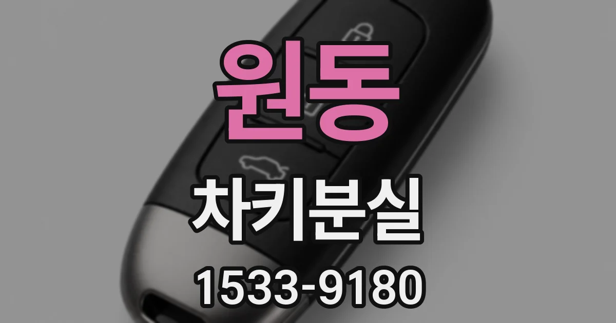 원동 차키분실