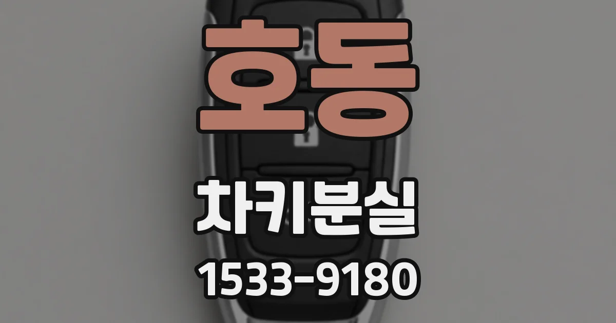 호동 차키분실