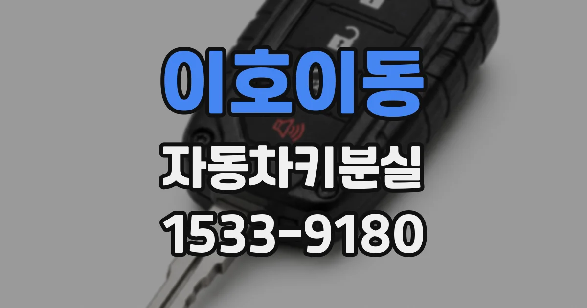 이호이동 자동차키분실