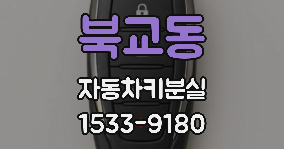 북교동 자동차키분실