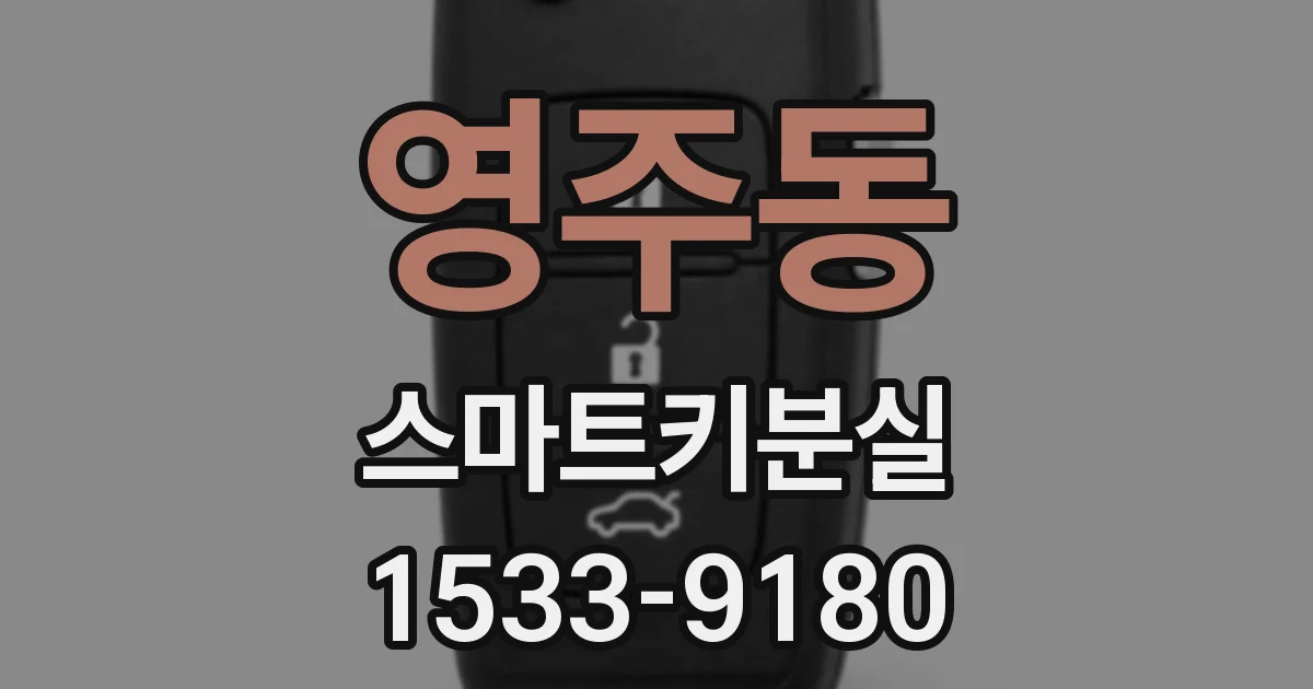영주동 스마트키분실