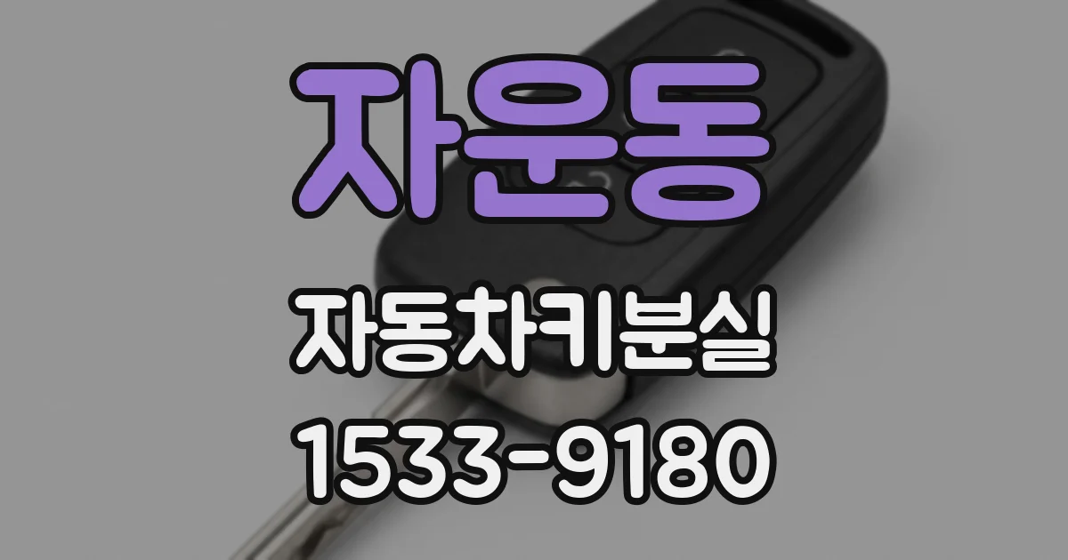 자운동 자동차키분실