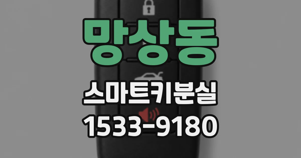 망상동 스마트키분실