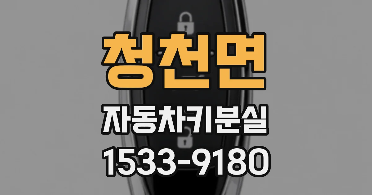 청천면 자동차키분실
