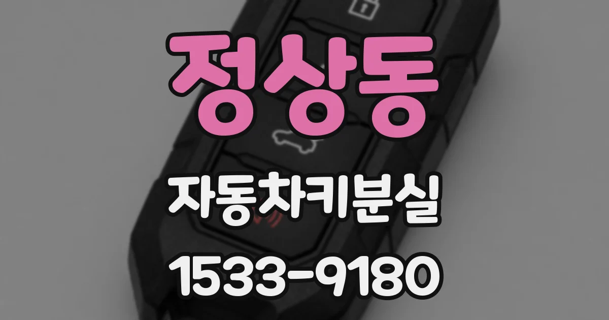정상동 자동차키분실