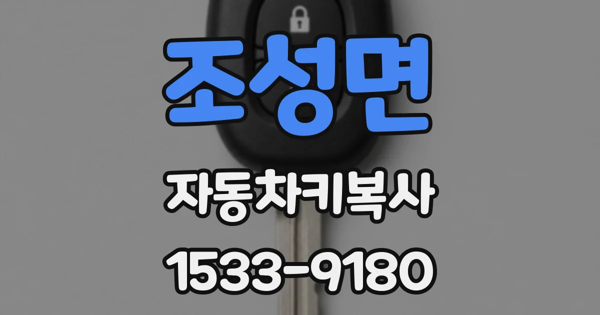 조성면 자동차키복사