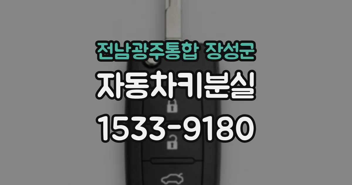 전남광주통합 장성군 자동차키분실