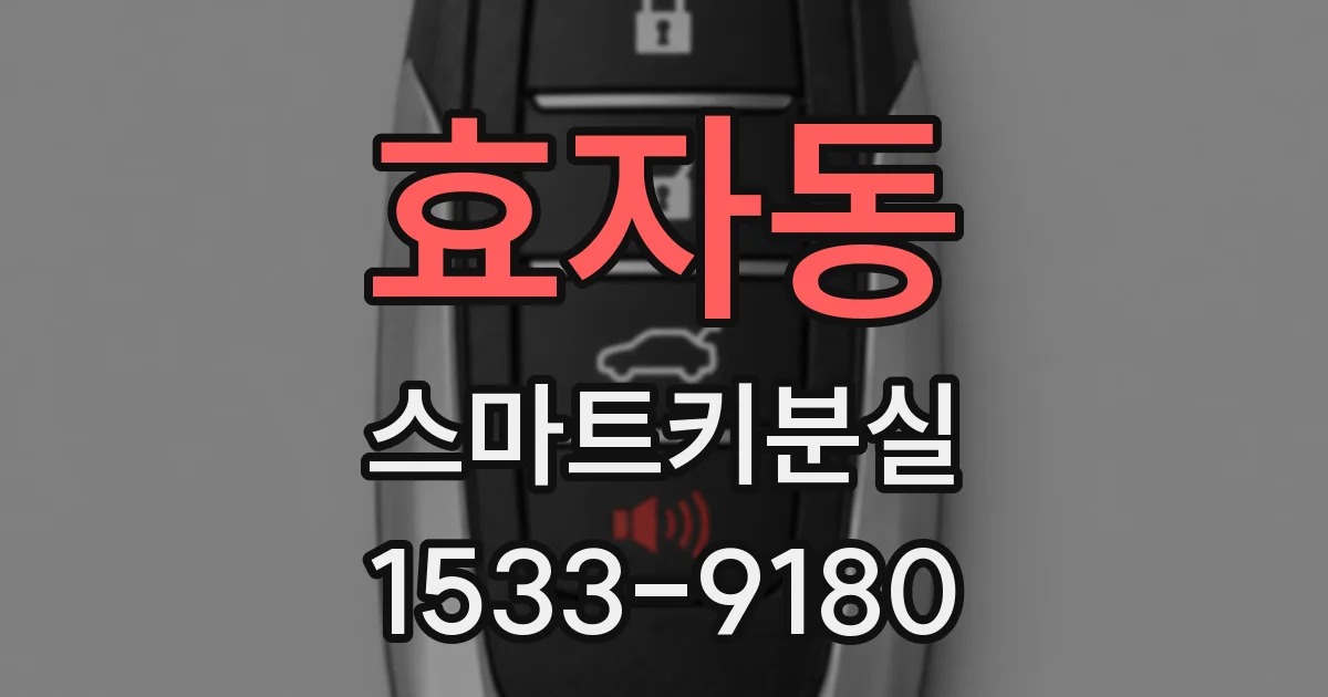 효자동 스마트키분실