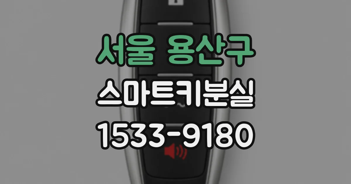 서울 용산구 스마트키분실