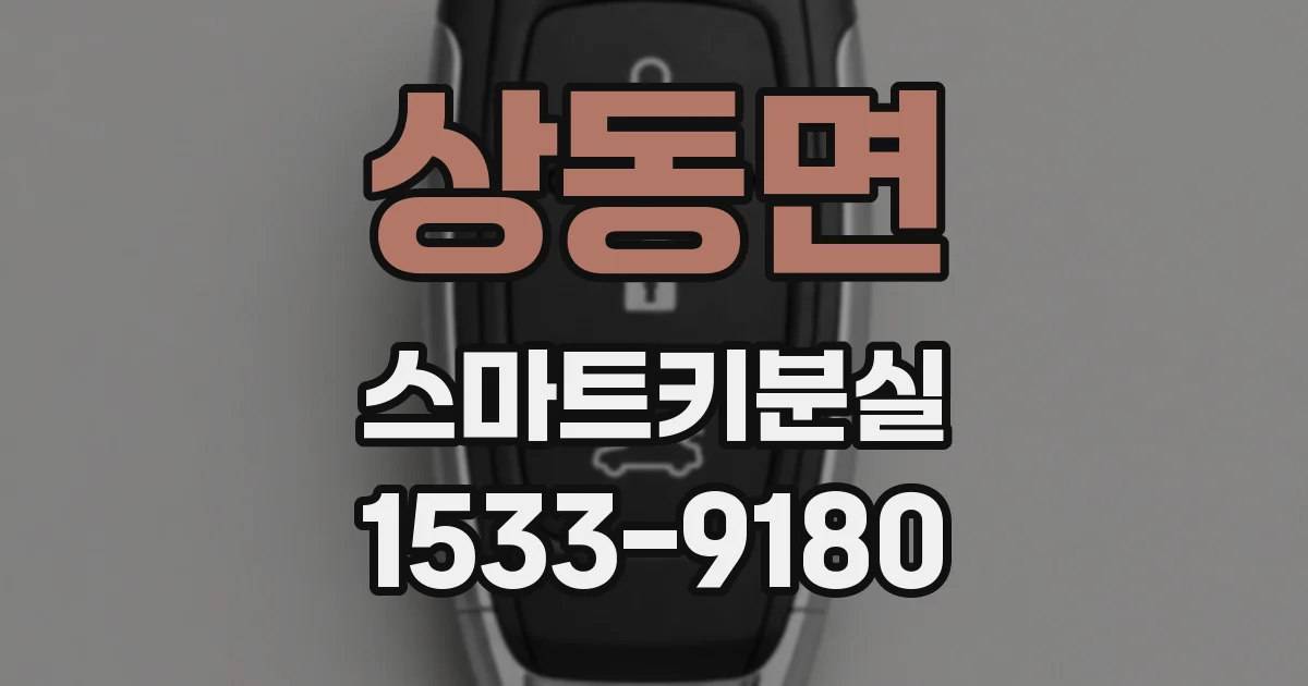 상동면 스마트키분실