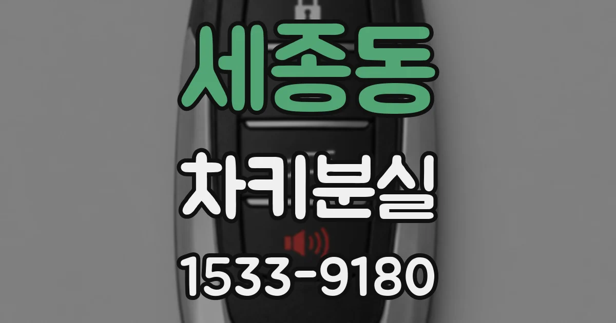 세종동 차키분실