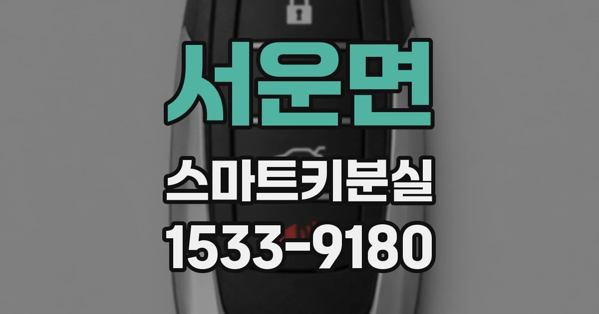 서운면 스마트키분실