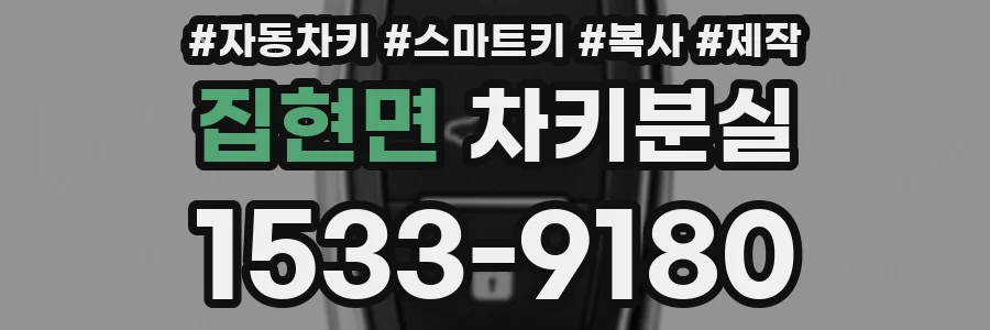 집현면 차키분실