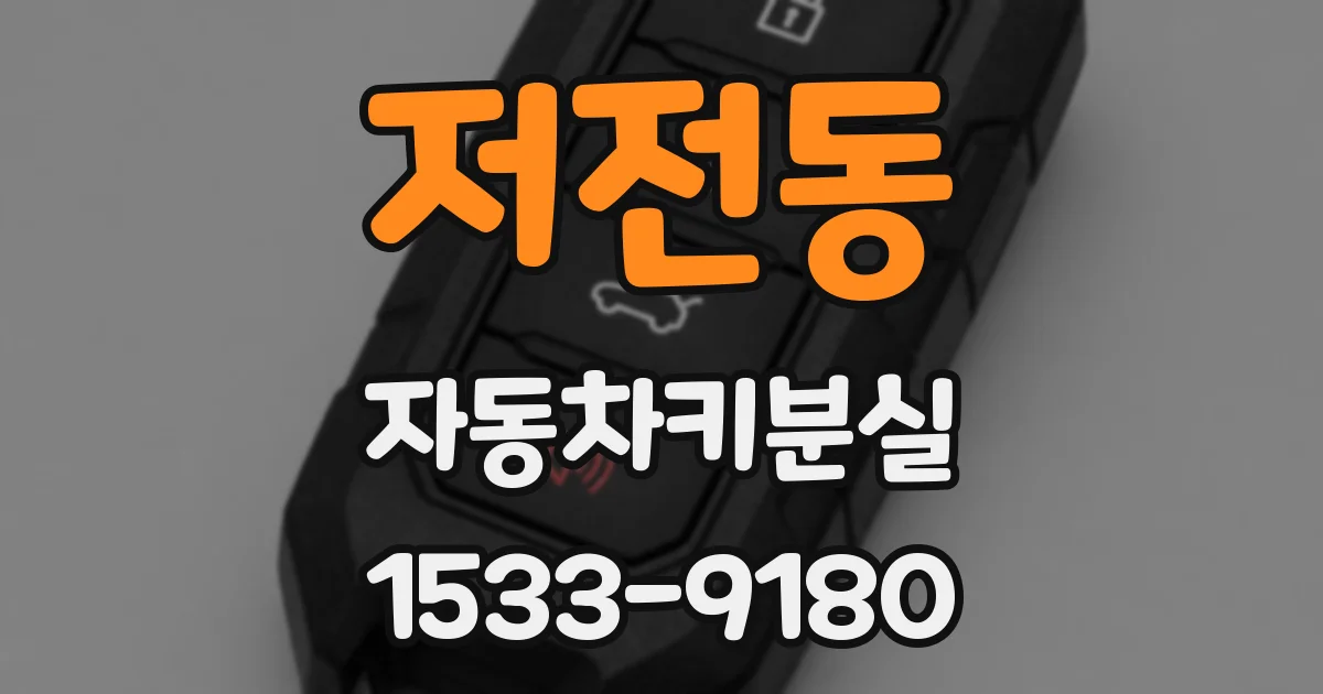 저전동 자동차키분실