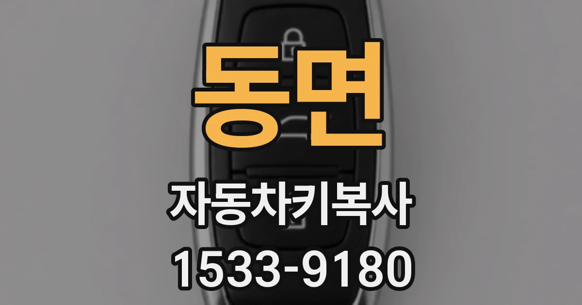 동면 자동차키복사