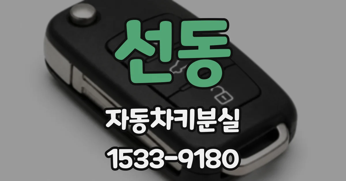 선동 자동차키분실