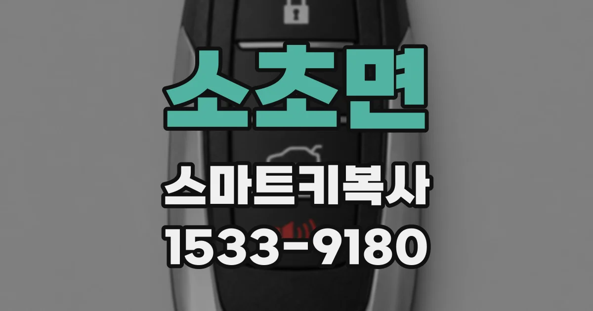 소초면 스마트키복사