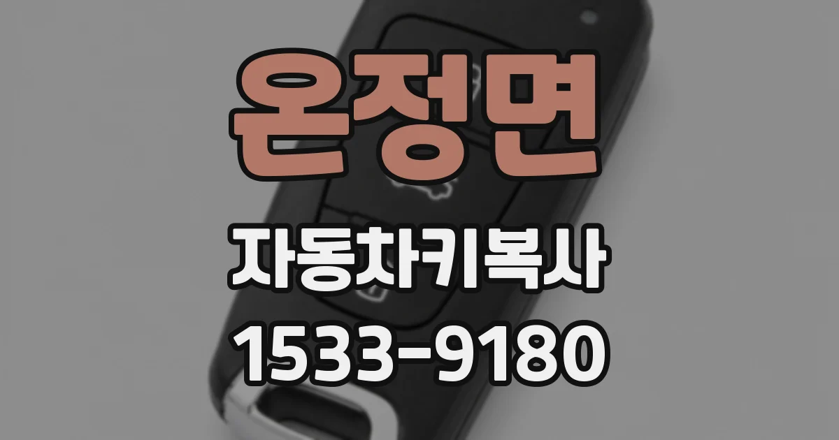 온정면 자동차키복사