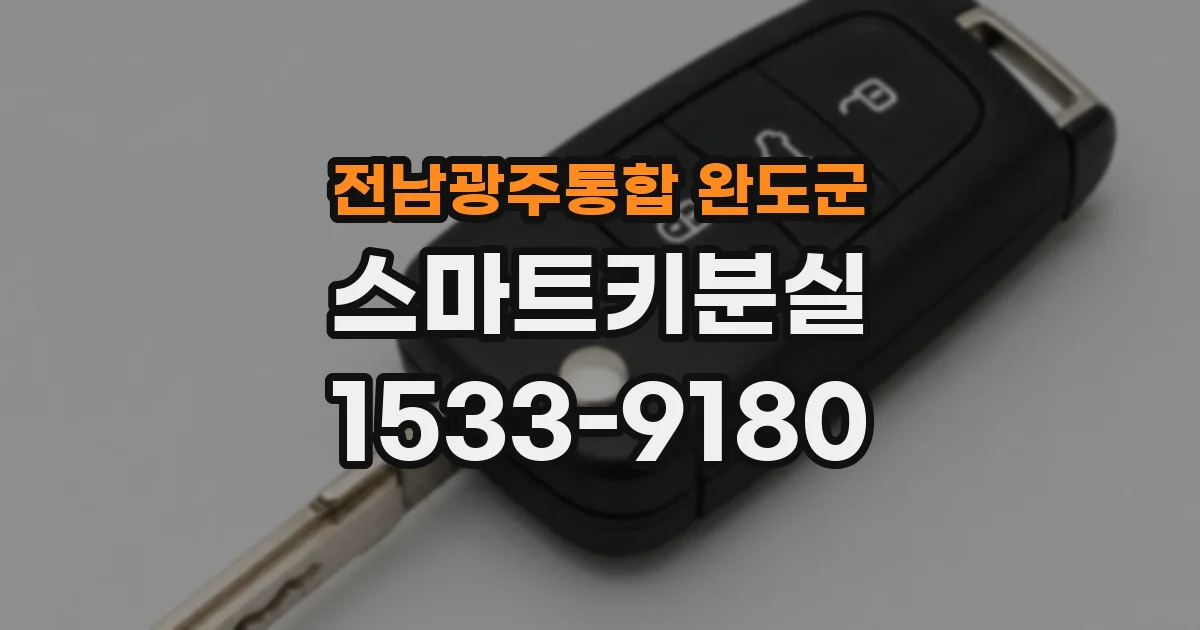 전남광주통합 완도군 스마트키분실
