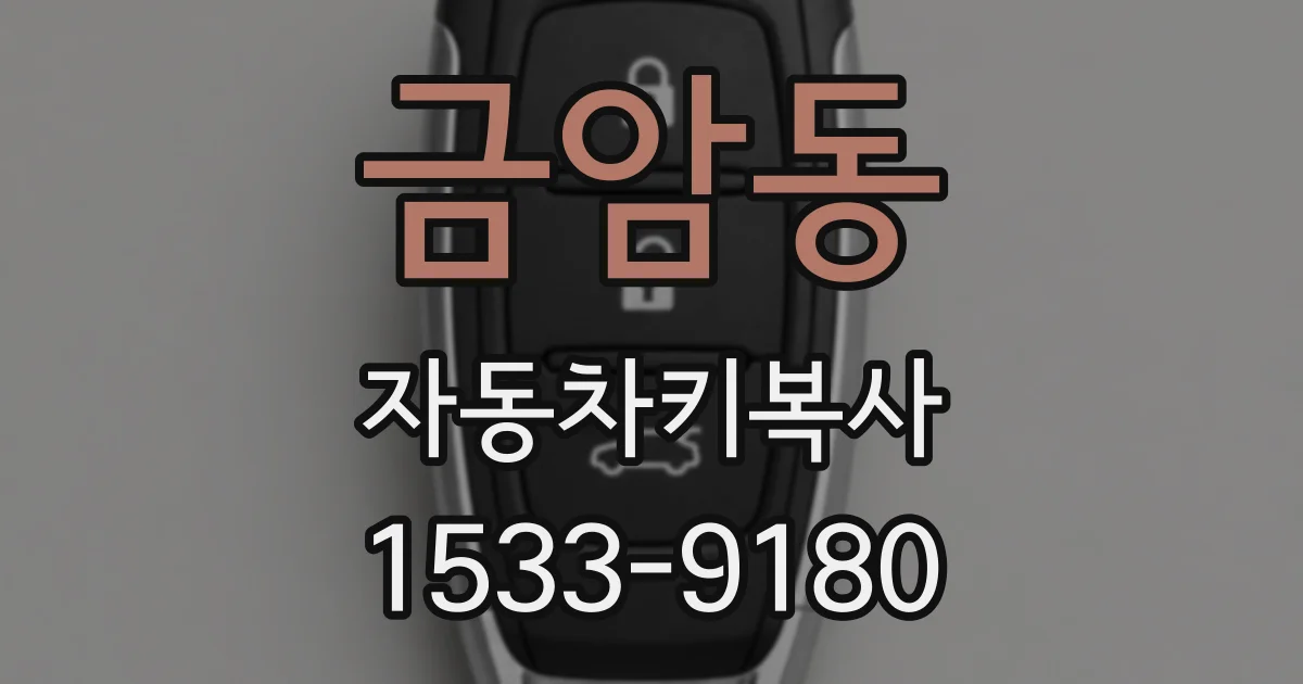 금암동 자동차키복사