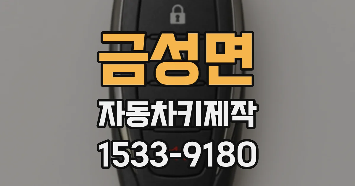 금성면 자동차키제작