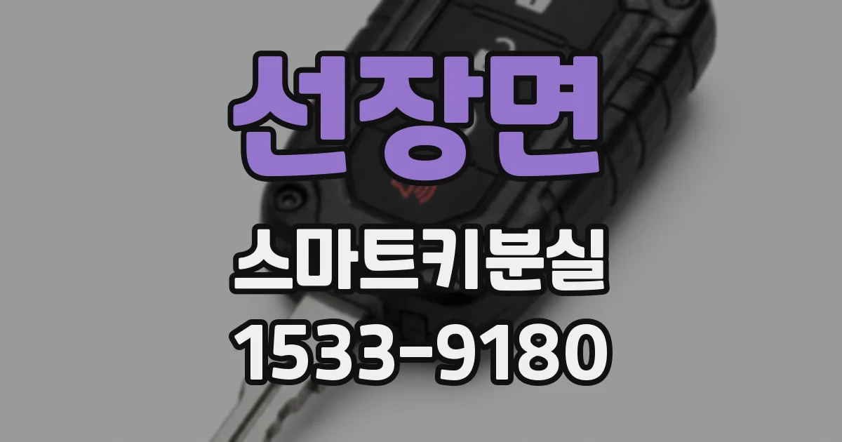 선장면 스마트키분실