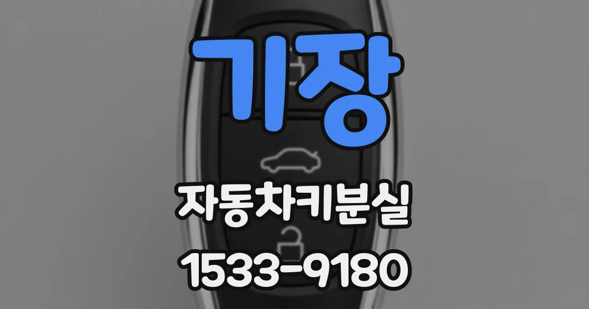 기장 자동차키분실