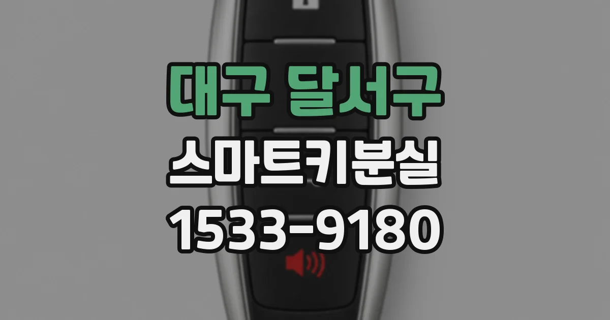 대구 달서구 스마트키분실
