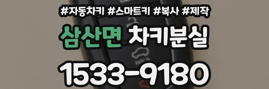 삼산면 차키분실