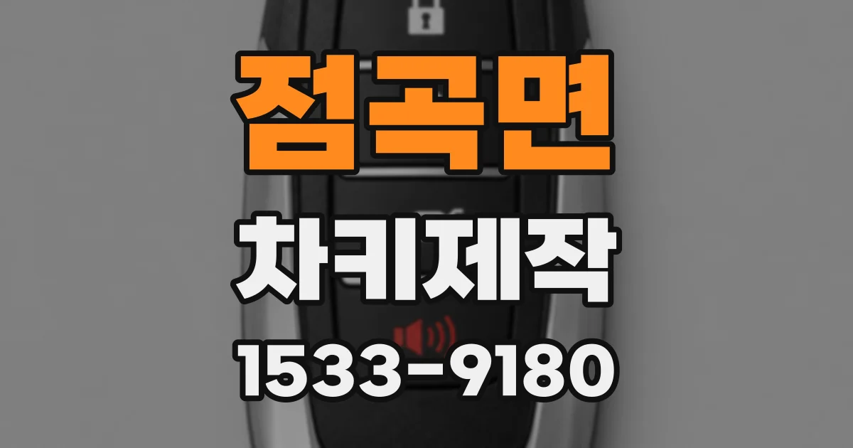 점곡면 차키제작