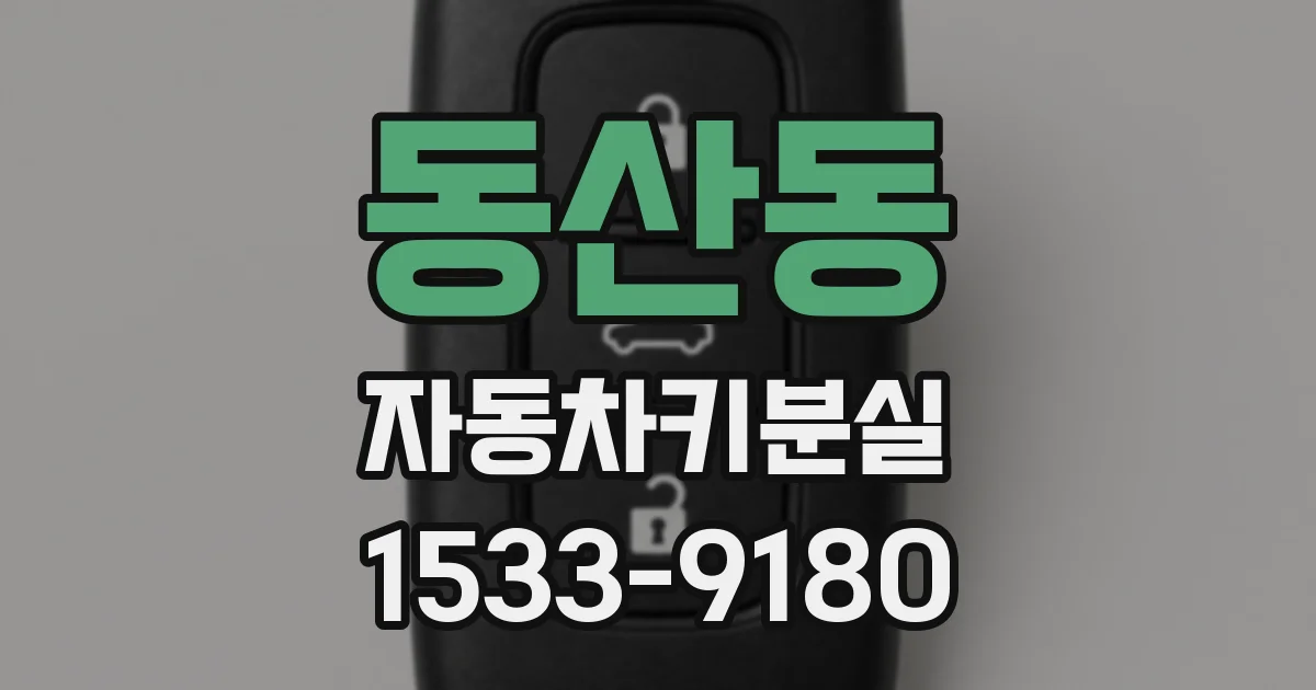 동산동 자동차키분실