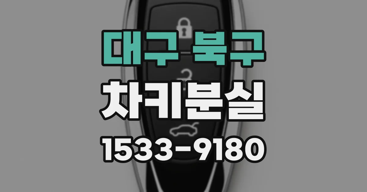 대구 북구 차키분실